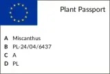 miskant-chinski-gracillimus-c2-nazwa-lacinska-inna-producent-szkolka-roslin-ozdobnych-a-r-koblanscy