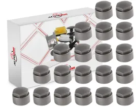 nakladka-kapsel-zaslepka-oslona-sruby-zabezpieczajacej-kola-skoda-25mm-20sz