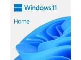 program-microsoft-windows-11-home-box