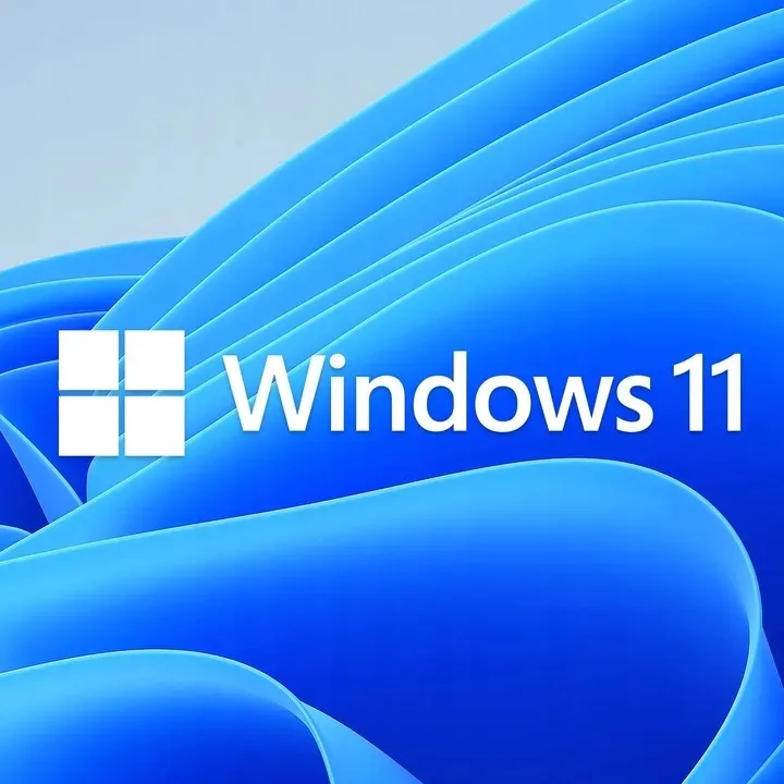 program-microsoft-windows-11-home-box