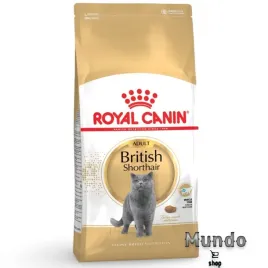 sucha-karma-royal-canin-british-shorthair-dla-kotow-doroslych-4-kg