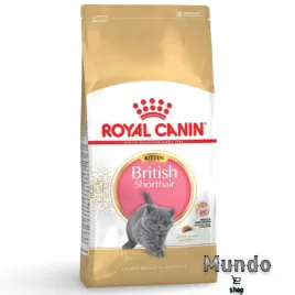 sucha-karma-royal-canin-british-shorthair-kitten-dla-maly-kotow-2-kg