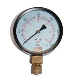 manometr-fi-100mm-goshe-6-bar-cisnieniomierz-dol-100mm-0-6-bar-m20x15