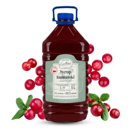 syrop-gastronomiczny-o-smaku-zurawinowym-5l