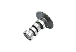 walek-rozrzadu-gy6-125-150-ccm-4t-agility-16-power-force