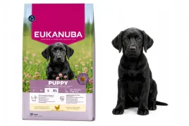 eukanuba-dog-breeder-puppy-large-chicken-sucha-karma-pies-18kg