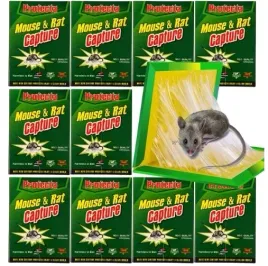 pulapka-na-myszy-szczury-myszolapka-mocny-silny-klej-mocna-lapka-lep-aromat