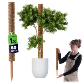 podpora-do-roslin-kwiatow-60cm-palik-kokosowy-45mm-tyczka-palka-do-monstery