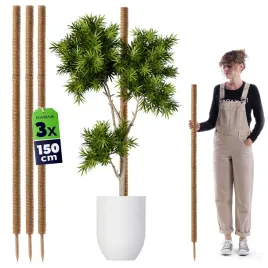 3x-podpora-do-roslin-kwiatow-150cm-palik-kokosowy-45-tyczka-palka-monstery