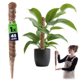podpora-do-roslin-kwiatow-45cm-palik-kokosowy-45mm-tyczka-palka-do-monstery