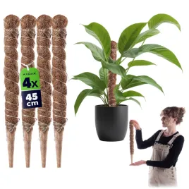 4x-podpora-do-roslin-kwiatow-45cm-palik-kokosowy-45mm-tyczka-palka-monstery