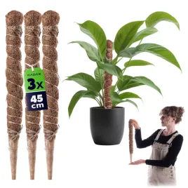 3x-podpora-do-roslin-kwiatow-45cm-palik-kokosowy-45mm-tyczka-palka-monstery