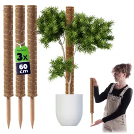 3x-podpora-do-roslin-kwiatow-60cm-palik-kokosowy-45mm-tyczka-palka-monstery