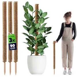 3x-podpora-do-roslin-kwiatow-90cm-palik-kokosowy-45mm-tyczka-palka-monstery