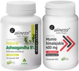 natural-ashwagandha-100kaps-mumio-himalajskie-shilajit-extract-90kaps