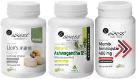 zestaw-na-pamiec-i-koncentracje-mumio-ashwagandha-soplowka-aliness