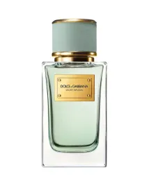 dolce-and-gabbana-velvet-infusion-eau-de-parfum-unisex-100-ml
