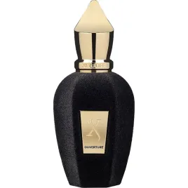 xerjoff-ouverture-eau-de-parfum-unisex-100-ml