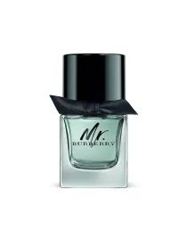 burberry-mr-burberry-eau-de-toilette-for-men-50-ml