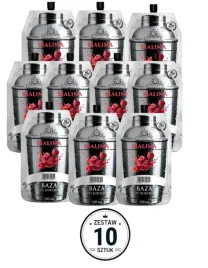 10x-koncentrat-malina-250ml-10-sztuk-zestaw