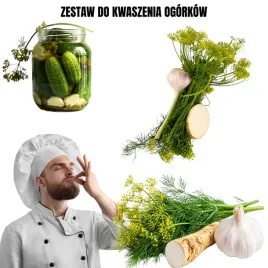 swiezy-zestaw-do-kwaszenia-ogorkow-malosolne-kiszone-ogorki-2026
