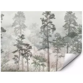 fototapeta-na-sciane-mglisty-las-sosnowy-natura-skandynawska-200x140-cm