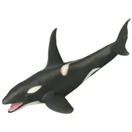 orka-wieloryb-zoolandia-figurka-kolekcjonerskie-swiat-zwierzat