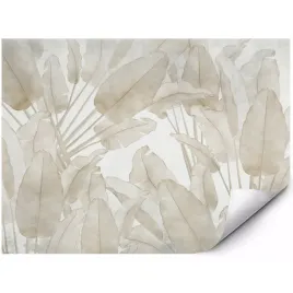 fototapeta-na-sciane-bezowe-liscie-tropikalne-minimal-boho-300x210-cm