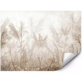 fototapeta-na-sciane-bezowe-trawy-pampa-boho-natura-mgla-300x210-cm