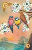 karty-tarot-celtic-lenormand-stan-nowy