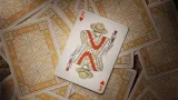 karty-do-gry-theory11-sembras-stan-nowy