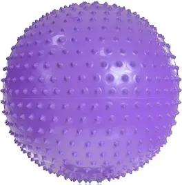 pilka-fitness-do-cwiczen-gimnastyczna-z-masazem-profit-65cm-fioletowa-dk210