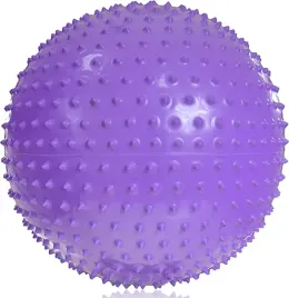 pilka-fitness-do-cwiczen-gimnastyczna-z-masazem-profit-55cm-fioletowa-dk210