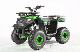 nd28-16713-psp-atv009-8-zie-pojazd-quad-spalinowy