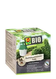 pulapka-feromonowa-na-cme-bukszpanowa-organiczna-bio-compo