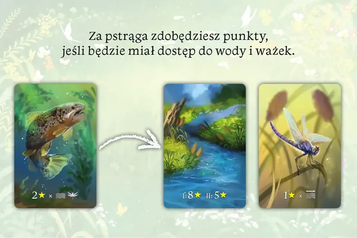 ekosystem-stan-nowy-wydawca-nasza-ksiegarnia