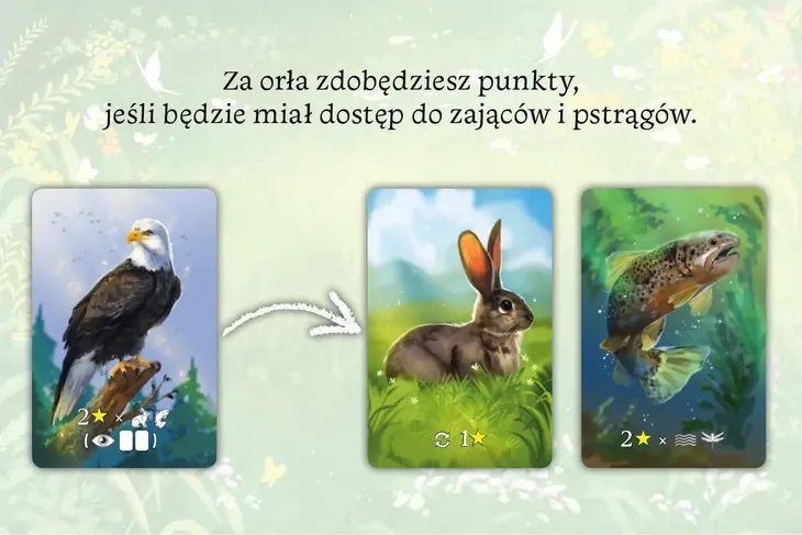 ekosystem-wydawca-nasza-ksiegarnia-stan-nowy