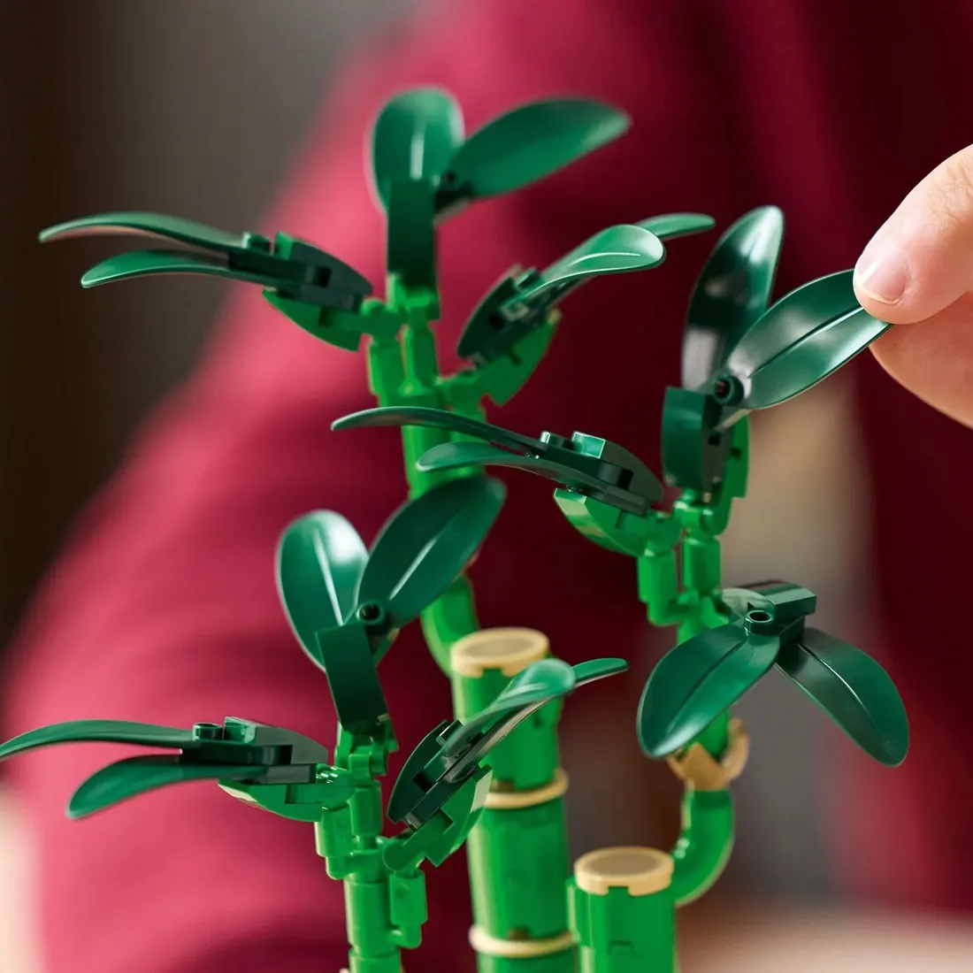 lego-dracena-sandera-10344