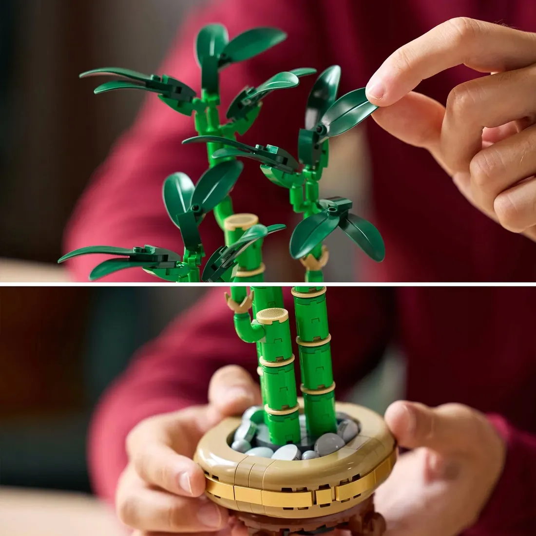 lego-dracena-sandera-10344