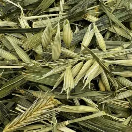 ziele-owsa-500g-karma-ziola-dla-krolika-swinki-gryzoni-champi
