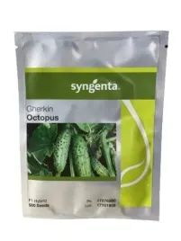 ogorek-gruntowy-octopus-f1-500-nasion-syngenta