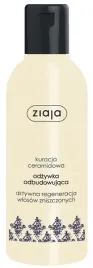 odzywka-odbudowujaca-kuracja-ceramidowa-ziaja