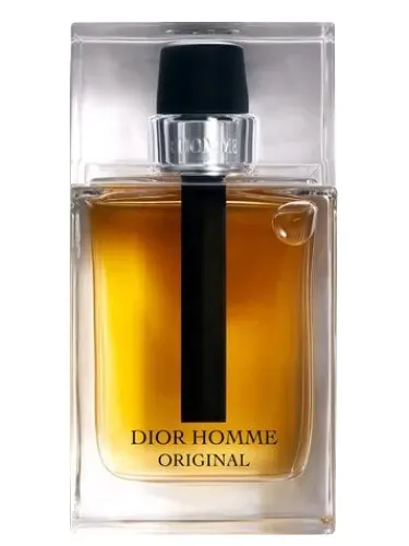 dior dior homme original