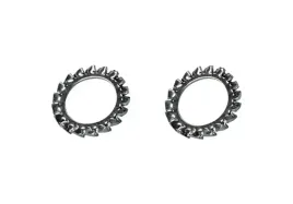 podkladka-wachlarzowa-m10-din6798a-inox-a2