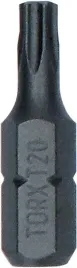 bit-grot-koncowka-t20-25mm-exh-25pcs