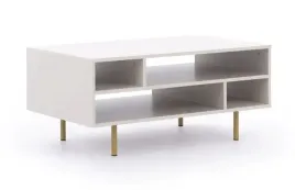 lawa-do-salonu-kaszmirowa-zlote-nogi-100x45x60-cm-z-polkami-kolekcja-nubia