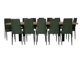stylowy-komplet-jadalniany-stol-100x200-300cm-12-krzesel-zielen