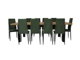 stylowy-komplet-jadalniany-stol-100x200-300cm-10-krzesel-zielen