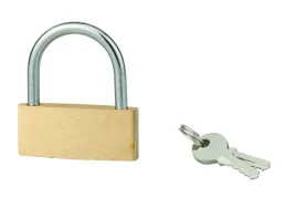 klodka-basic-60-mm-palak-stalowy-2-klucze-blister