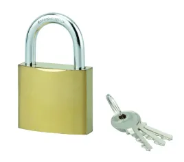 klodka-acera-50-mm-palak-ze-stali-hartowanej-3-klucze-blister